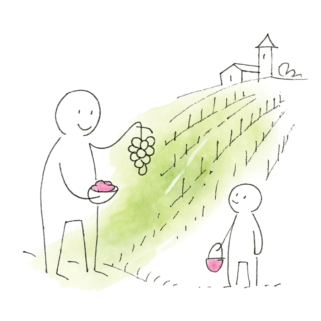 Sketch illustrating the French expression terroir