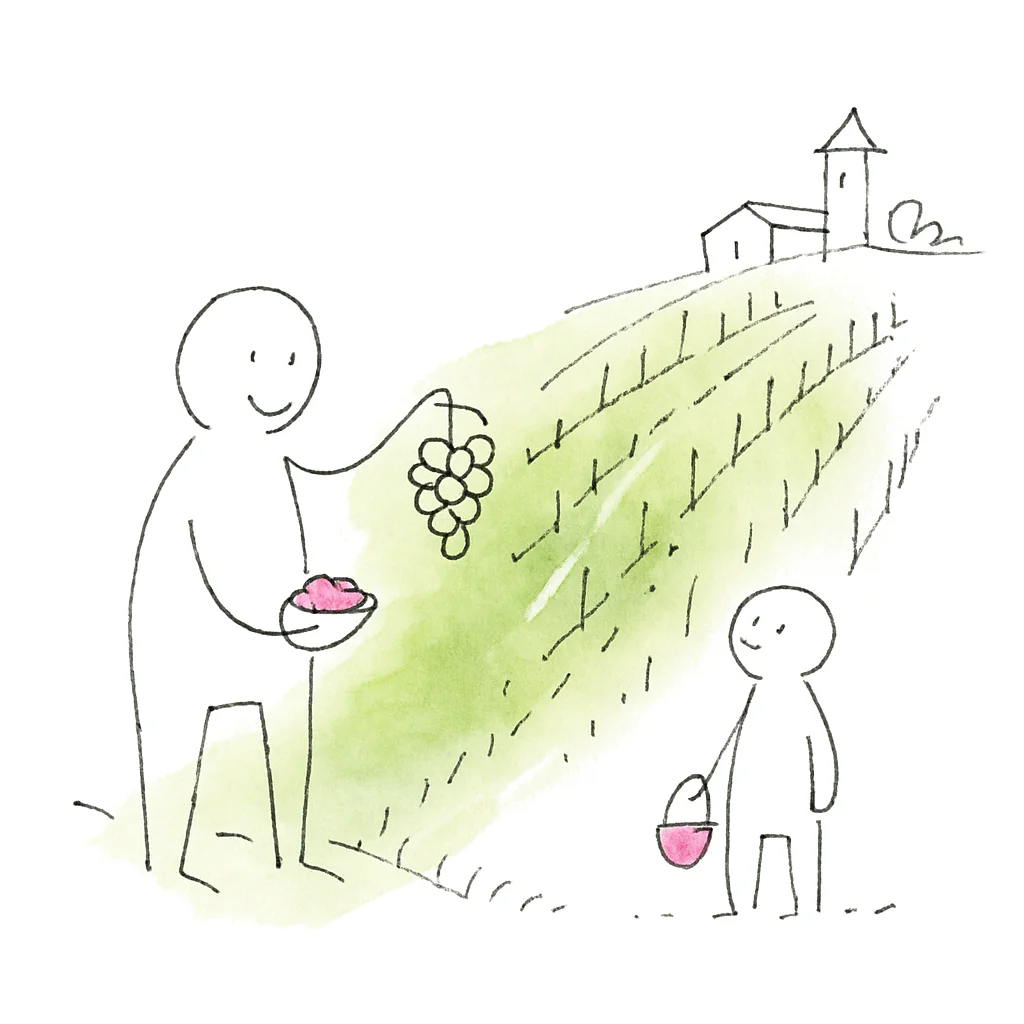 Sketch illustrating the French expression terroir
